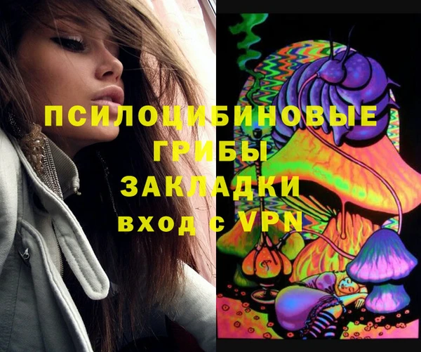 дмт Арсеньев