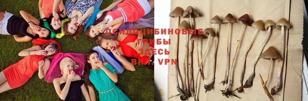 a pvp Аркадак