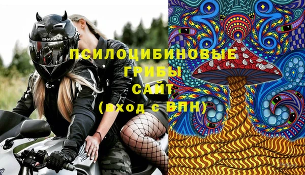 a pvp Аркадак