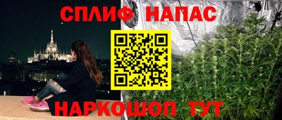 мяу мяу мука Гатчина