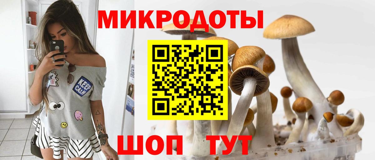 Галлюциногенные грибы мицелий  Псилоцибиновые грибы Psilocybine cubensis  Вход с VPN  Чернушка 