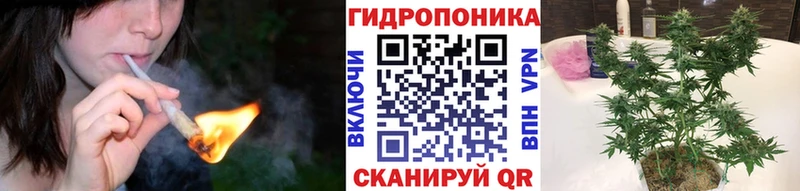 kraken зеркало  Чернушка  Бошки марихуана марихуана 