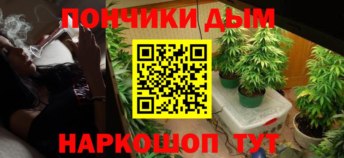 МАРИХУАНА план Чернушка